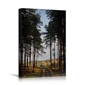signwin Canvas Wall Art Green Forest Dramatic Forest...