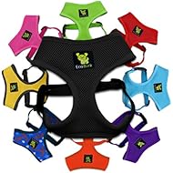Classic Dog Harness Innovative Mesh No Pull No Choke Design Soft Double Padded Breathable Vest for Eco-Friendly Easy Control Walking Quick Release for Puppies Toy Breeds & Small Dogs (Small, Black)