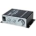 Lepy LP-2020A Power Amplifier Stereo HiFi Digital Audio Car Auto Motor Amp