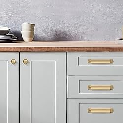 khtumeware 10 Pack 1-1/4 inch Brushed Brass Cabinet