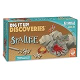 MindWare Dig It Up! (Sea Life Dig Kit)