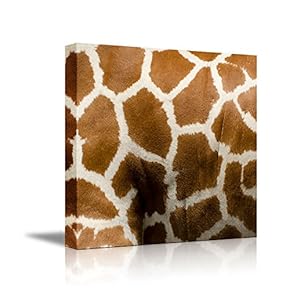 Canvas Prints Wall Art - Canvas Prints Wall Art - Giraffe Fur/Skin Texture - 12"x12"