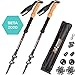 Breakfast on Everest Carbon Trekking Poles - Trek Poles Collapsible - 3K Carbon Fiber Trekking Pole - Hiking Sticks for Men - Women's Hiking Poles - Lightweight Walking Sticks - Nordic Trekking Sticks