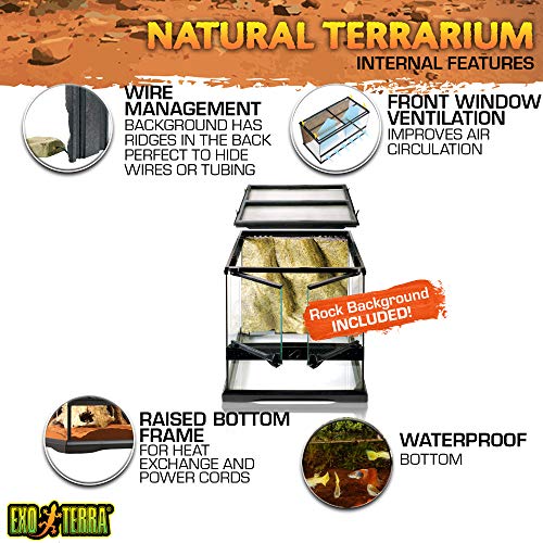 Exo Terra Glass Terrarium Kit, for Reptiles and Amphibians, Mini Wide
