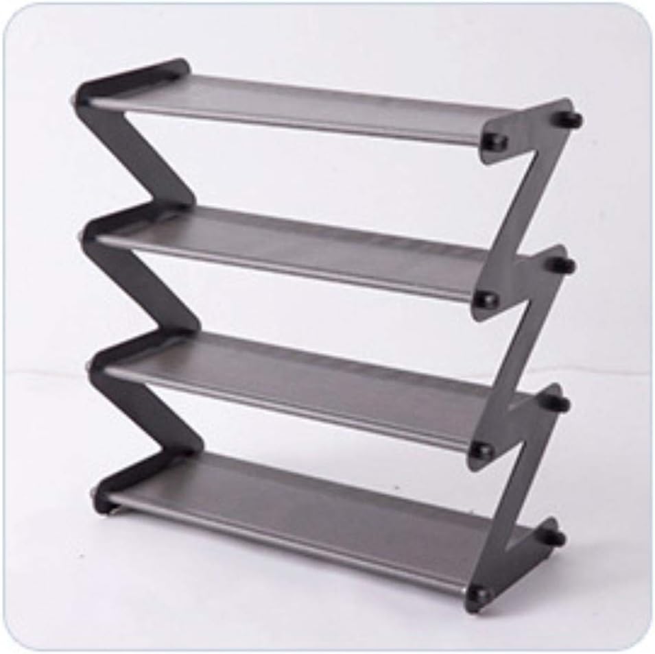 Best 2 Tier Shoe Rack Pull Out