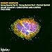 Simpson: String Quartet No. 13 / String Quintet No. 2 / Clarinet Quintet