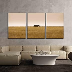 3 Piece Canvas Wall Art - Critically Endangered Black, Hook-Lipped Rhinoceros Diceros Bicornis in African Savanna - Modern Home Art Stretched and Framed Ready to Hang - 16"x24"x3 Panels