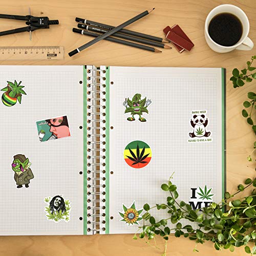 Weed Stickers for Laptop, 100pcs Marijuana Stickers for Teen, Adults, Waterproof Stickers for Water Bottles, Hydro Flask, Computer, Phone Case, Vinyl Stickers Decals