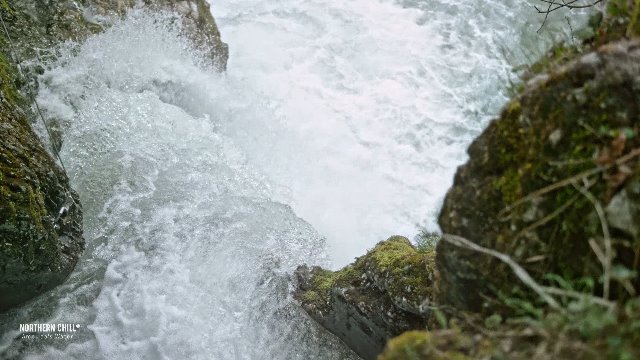 Northern Chill, 1L, 6 pack, Naturally Alkaline Mineral Spring Water, Naturally Filtered Minerals & Electrolytes, BPA… - Image 8