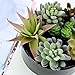 MyGift 6-Inch Decorative Black Glazed Tabletop Round Ceramic Planter Pot with Assorted Artificial Succulents