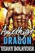 Amethyst Dragon (Awakened Dragons Book 5)