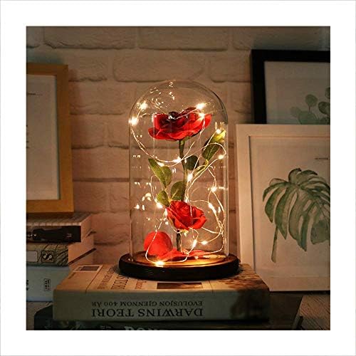 Chococolate Beauty and the Beast Romantic Preserved Fresh Rose Flower LED Landscape Lamp with Wooden Base and Glass Cover Micro Landscape for Valentine's Day Birthday Wedding Party Gifts