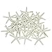 LJY 25 Pieces 3.15 Inches Beige Resin Pencil Finger Starfish for Wedding Home Decor and Craft Project