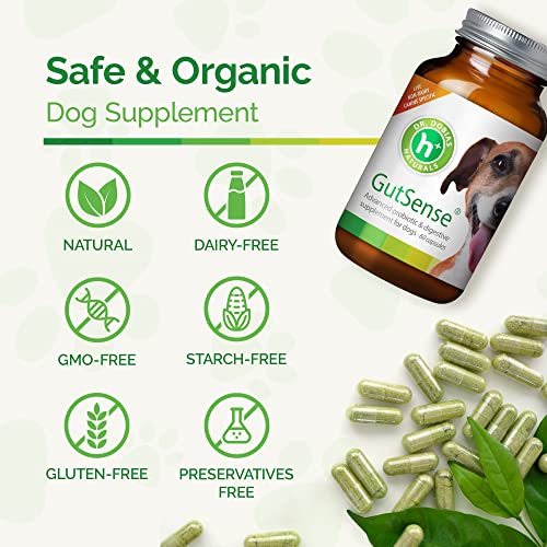 Dr. Dobias GutSense, Advanced Prebiotic & Probiotics for Dogs, Canine