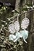 Ling's moment 3-Set Dream Catchers 4