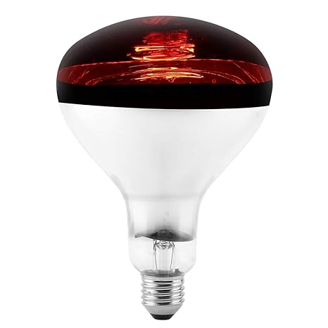 Amazoncom Reptile Infrared Heating Lamp E27 Bulb Heat Emitter