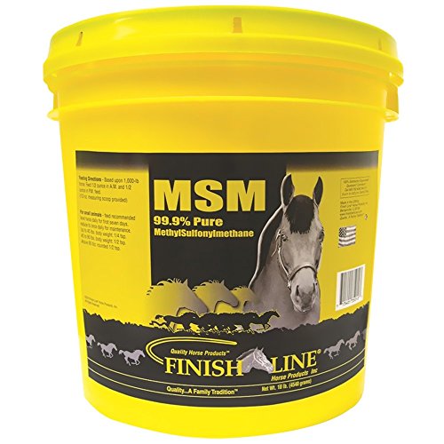 Top 10 Best Horse Supplements For Laminitis - Top Reviews | No Place