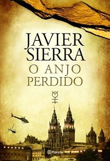 Livro O anjo perdido