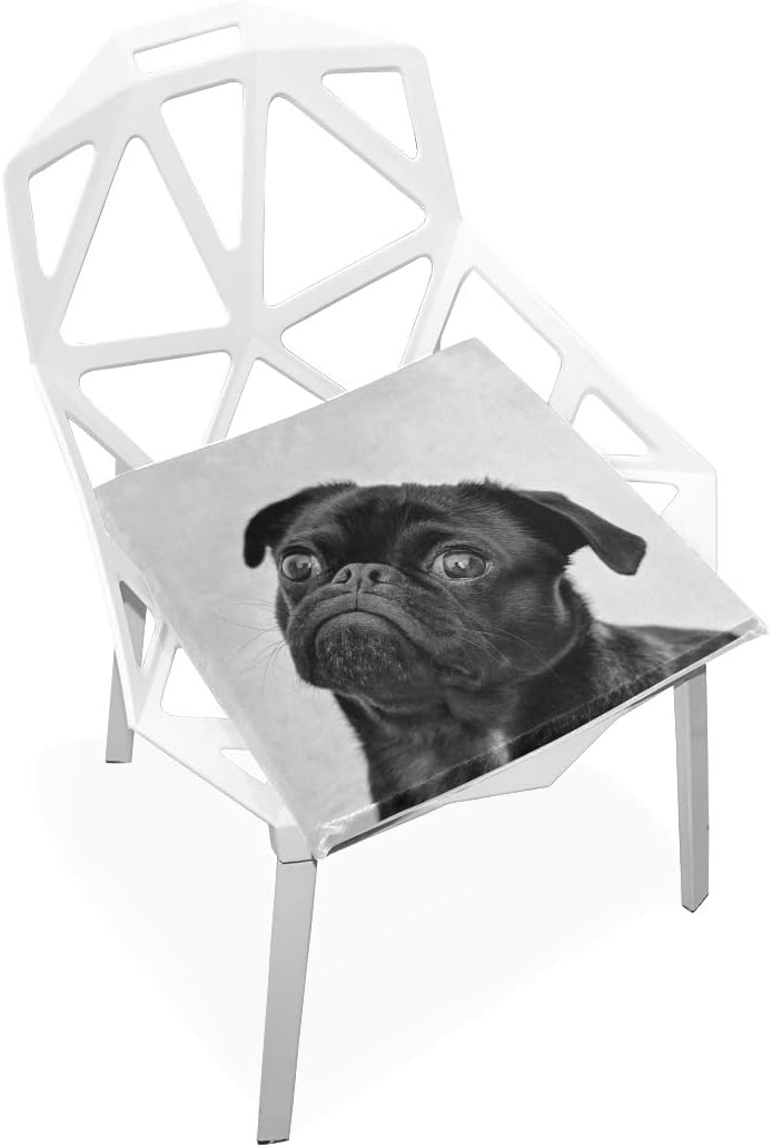 office chair with dog seat