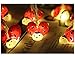 LJM 20 Led Battery Operated Lovely String Lights for Indoor Outdoor Decoration for Baby Boy Girl Birthday (Lady Bug)