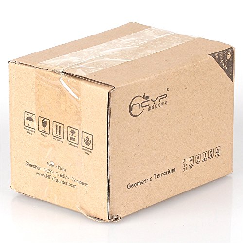 image for NCYP Little Dog White Ceramic Succulent Plant Flower Pot Flowerpot Pla