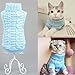 Pet Cat Sweater Kitten Clothes for Cats Small Dogs,Turtleneck Cat Clothes Pullover Soft Warm,fit Kitty,Chihuahua,Teddy,Poodle,Pug (Blue, Medium)