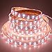LEDENET Double Row DC 24V 600LEDs/spool 5m RGB+Cold White (6500k-7000K) 5050 SMD Waterproof RGBW LED strip lights in silicone sleeving IP67 for Wedding Party Holiday Outdoor LED Lighting