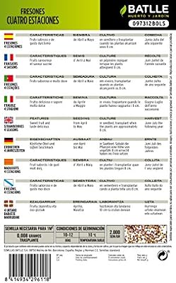 Semillas Hortícolas - Fresones 4 estaciones - Batlle: Amazon.es ...