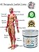 Active Life Natural Pain Relief Cream. 1 oz Travel Size (2 Pack). All Natural Relief for Joint Pain, Muscle Soreness and Skin Irritations. Perfect Stocking Stuffers or Small Gifts for the Holidays.