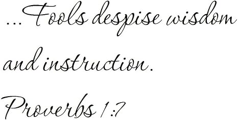 fools despise instruction