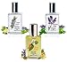 Nutravana Remedy Trio Gift Set: Headache & Stress Relief, Fatigue Buster Natural Health Aromatherapy Spa Bliss for Women Men Mom Dad Girls or Get Well -Ready to Roll-on -Safe for Kids -100% Guarantee