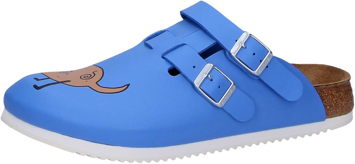 birkenstock dog clogs