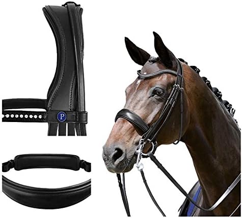 BLU - Double Bridle Dream