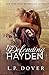 Defending Hayden: A Second Chances Novel