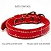 Logical Leather Padded Dog Collar - Best Full Grain Heavy Duty Genuine Leather Collar - Red - Small