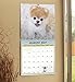Boo Wall Calendar (2017)