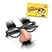 Accoutrements Fuzzy Nose and Glasses Classic Disguise, Multicolored