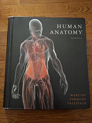 Human Anatomy: Mark Nielsen: 9781792486425: Amazon.com: Books