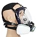 Trudsafe Complete Suit 6800 Reusable Full Face Respirator for Painting, Polishing, Welding and Dust, 2 Kinds of Connectors, Gas Cover Respirator with Organic Vapor Filter