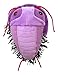 GIANT MICROBES Fuzzy Fossils Trilobite Plush - Learn About Fossils and Prehistoric Creatures, Unique Gift for Family, Friends, Scientists, Nature Lovers and Dinosaur Fans