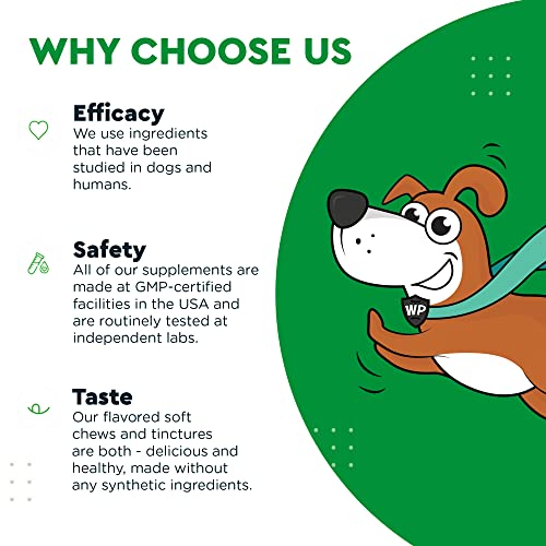 Wonder Paws Grass Hero, Grass Burn Spot Chews Neutralizes Urine to