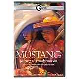 Mustang: Journey to Transformation