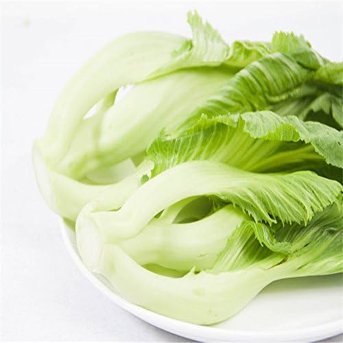 Senfkörner gesunde nahrhafte Bio-Gemüsesamen für Hausgarten, High-Yield