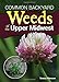 Common Backyard Weeds of the Upper Midwest by
