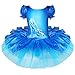 TIAOBU Girls Gymnastics Crystal Shoes Print Dance Ballet Leotard Tutu Dress
