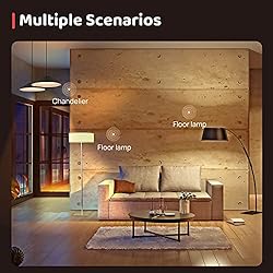 OREiN A19 LED Light Bulb, Enclosed Fixture