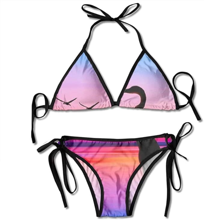 Bikini Flamingo at Sunset Bikini Set Beach Swimwear Two Piece Bikini