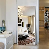 Hans&Alice Rectangle Bedroom Floor Mirror,Free Standing Dressing Mirror, 65"x24"