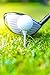 AckBrands MeasureTees Golf Tees - 2 3/4 3 1/4 Inch - Wood (100 Pack) Plastic (30 Nearly Unbreakable) P3