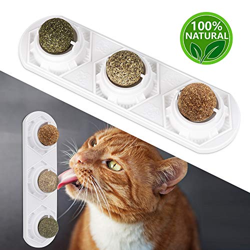 Peteast Catnip Toy, Edible Catnip Ball Safe and Healthy Catnip cat Family Chasing Game Toys, Cleaning Teeth, Protecting The Stomach